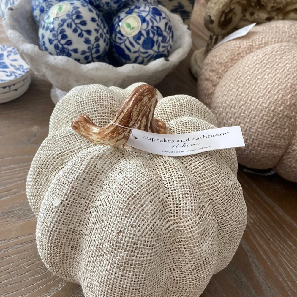 NEW! Shabby Chic Fall Autumn Harvest Creamy White Rattan Textured Resin Pumpkin